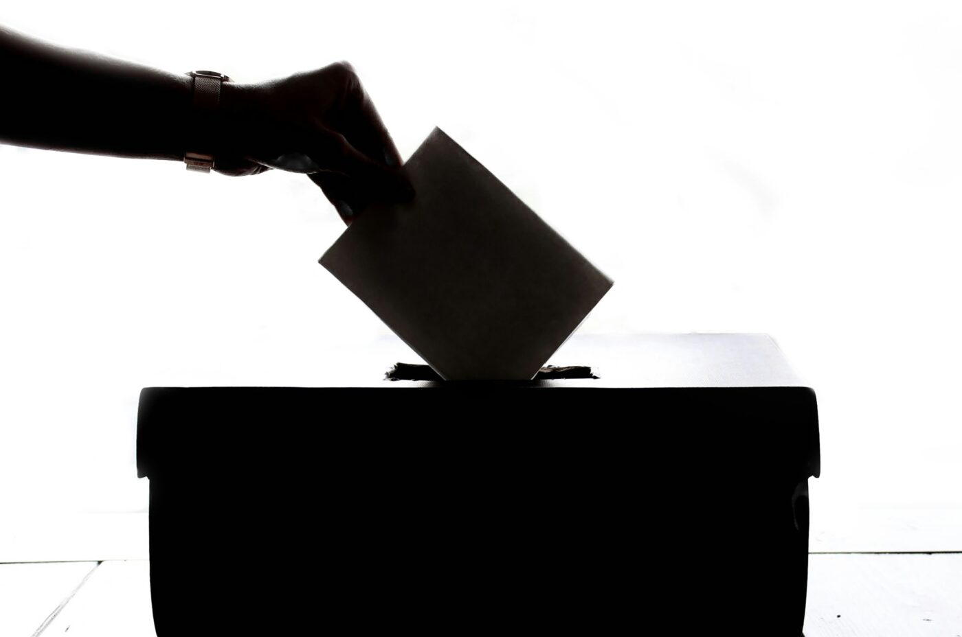Elezioni Unibo 2025: votare è stato un ostacolo