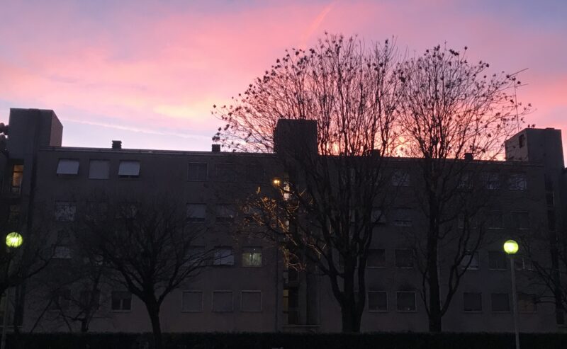 Ohio di Markley: spaccato di vita provinciale